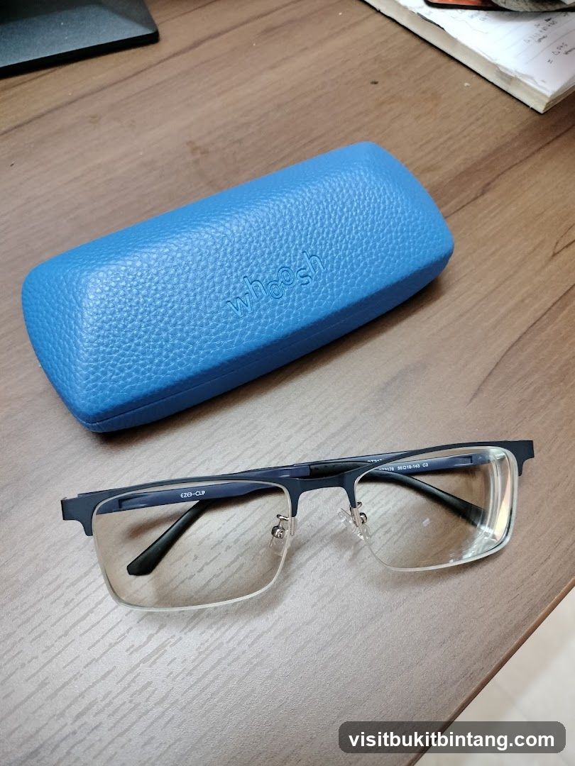 Eyeglasses and Case