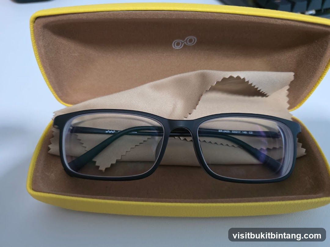 Eyeglasses in a case