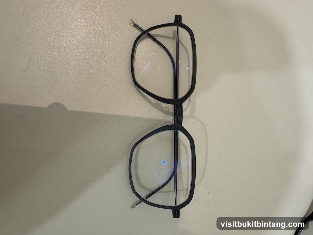 Eyeglasses
