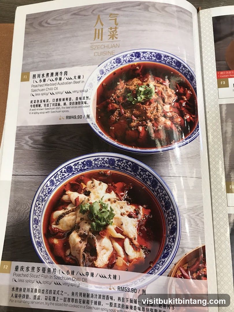 SZECHUAN CUISINE