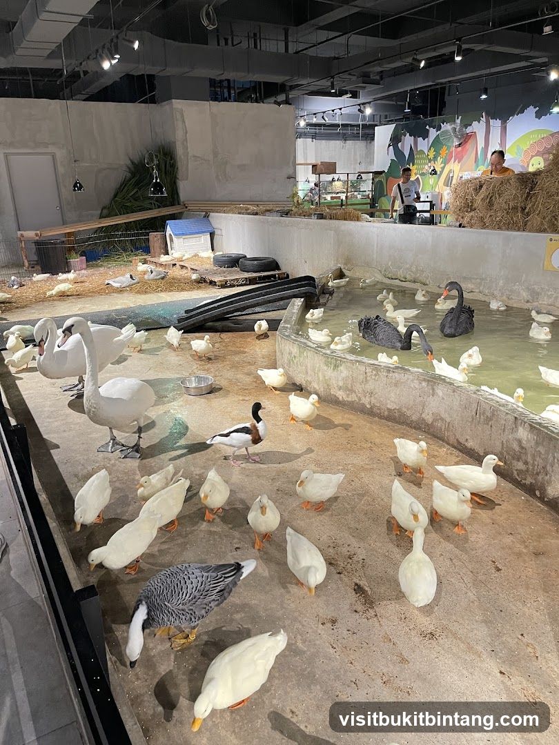 Just Farm @ Just Pets Megastore (Kota Damansara)