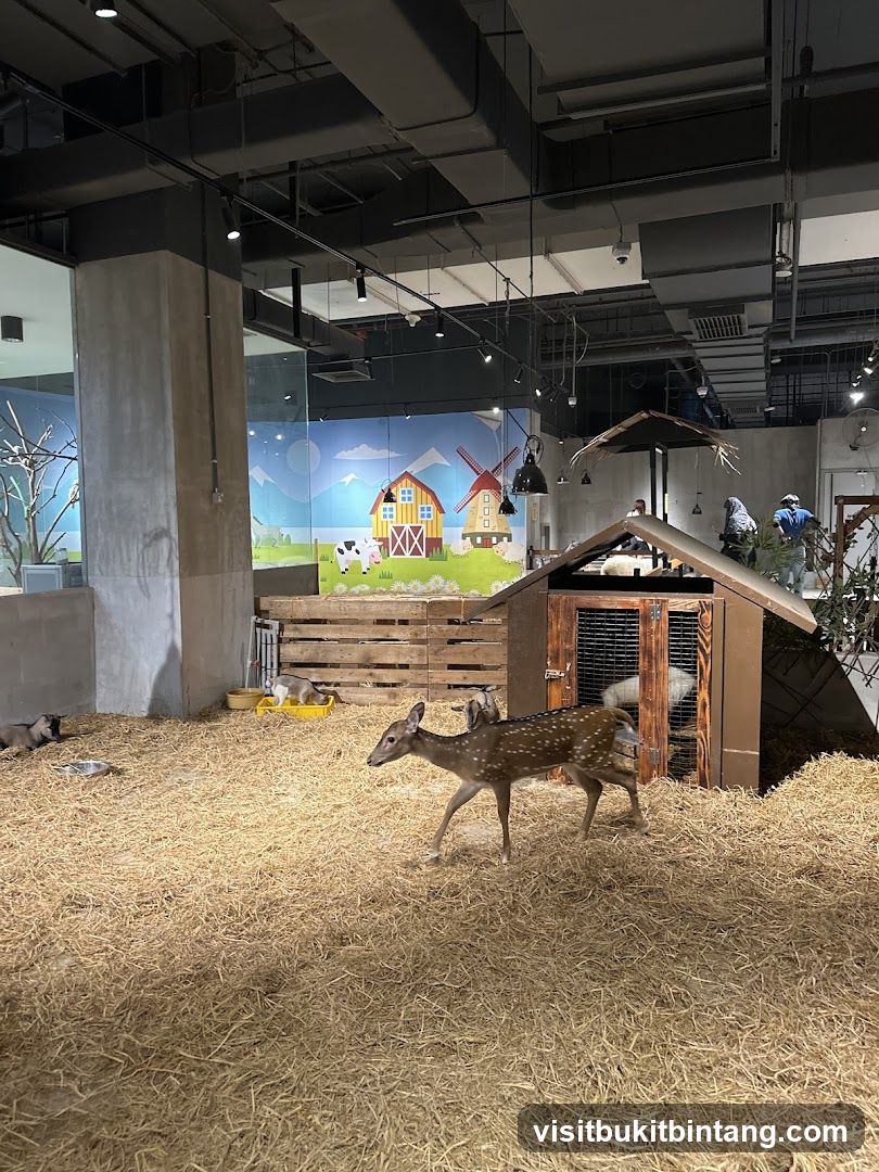 Indoor petting zoo with deer and goats