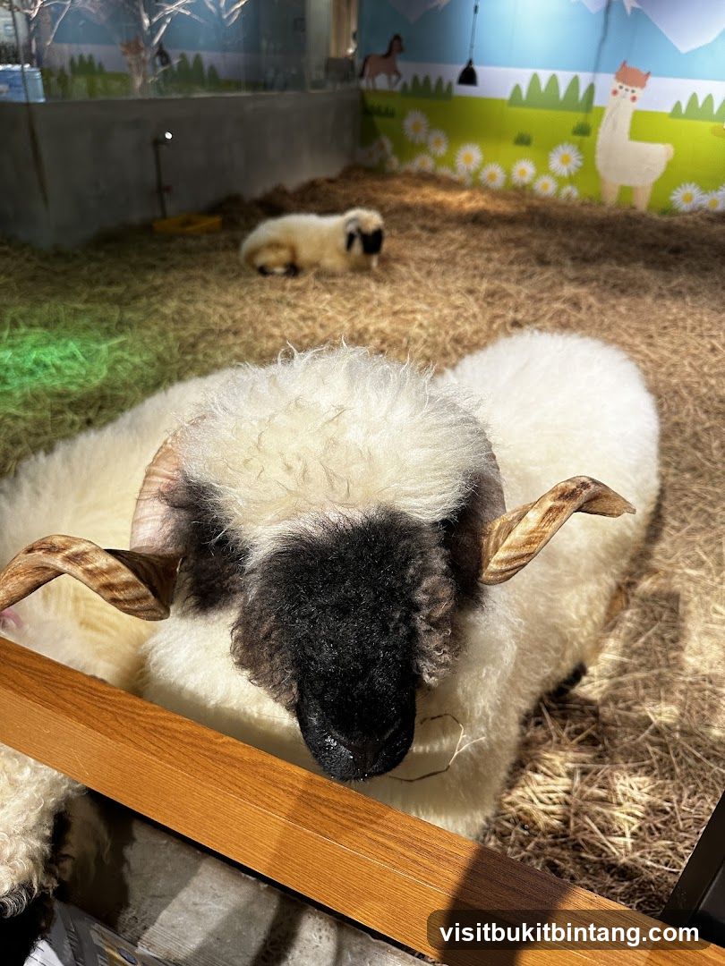 Sheep enclosure