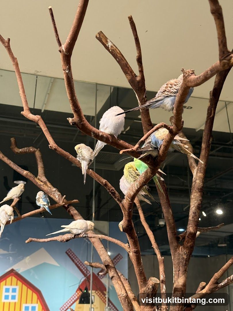 Budgies on Branches