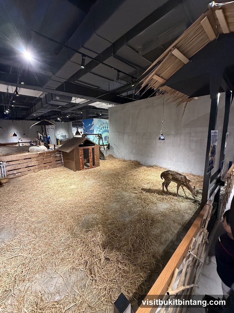 Indoor Animal Enclosure