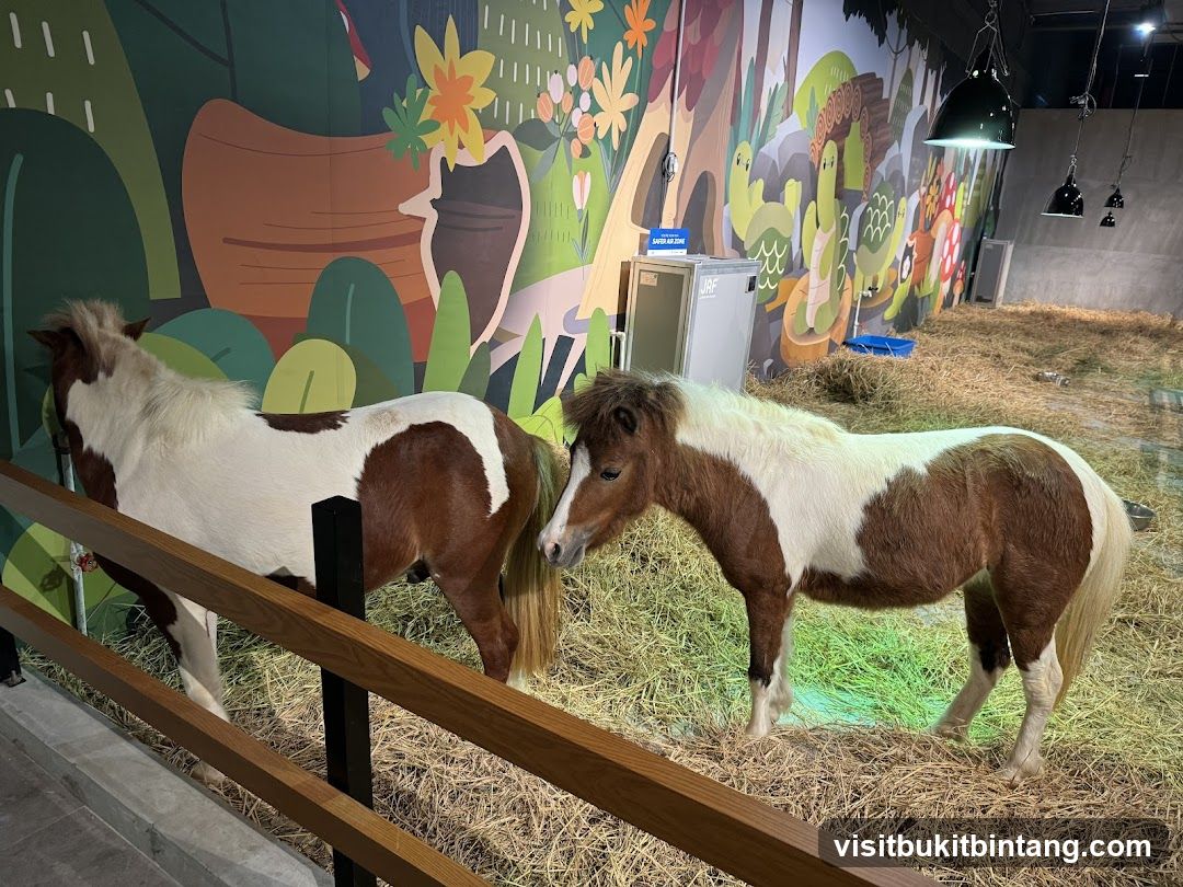 Ponies in an enclosure