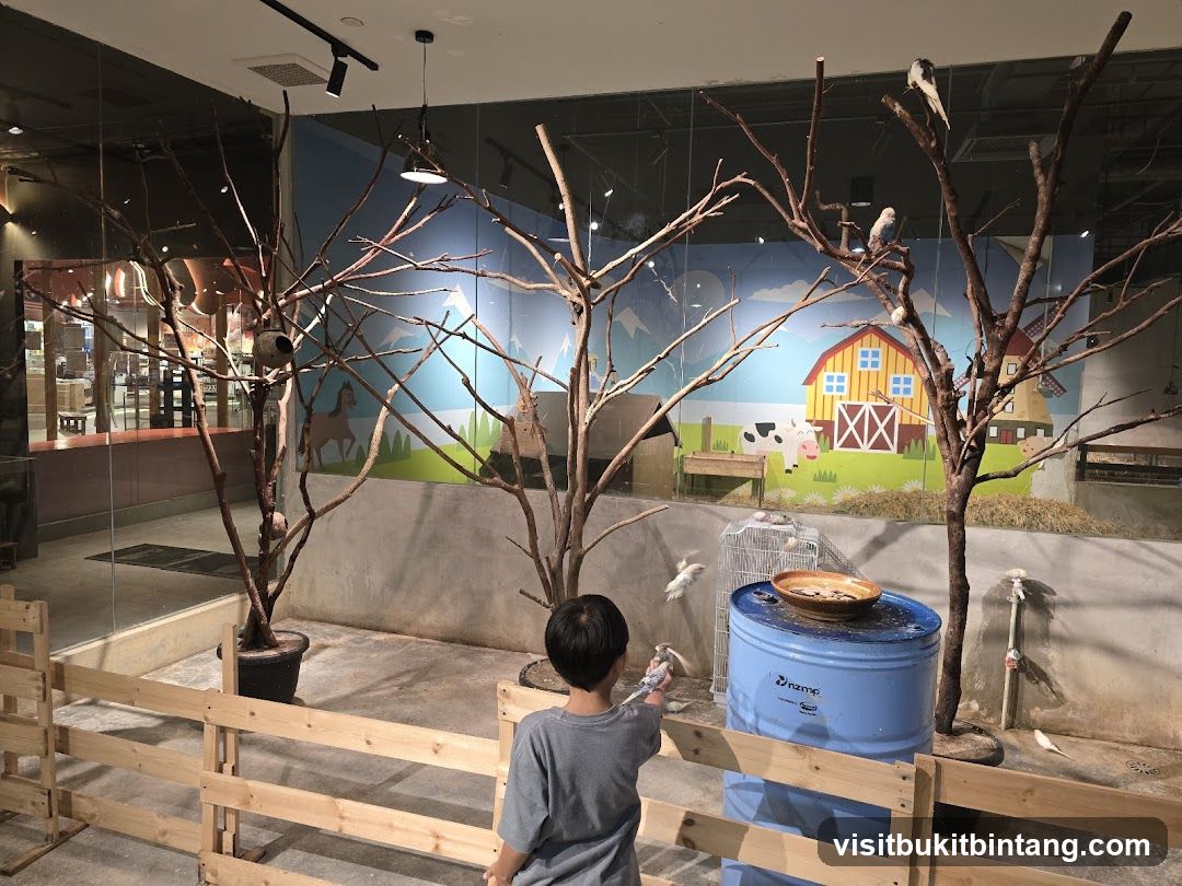 Interactive Bird Exhibit
