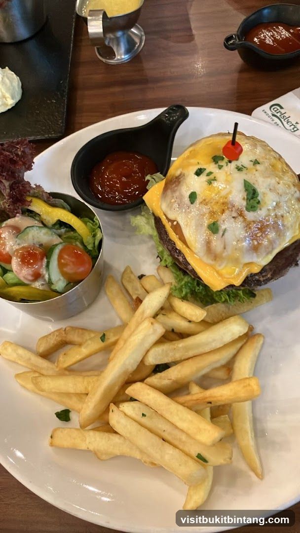 Cheeseburger with Fries and Salad
