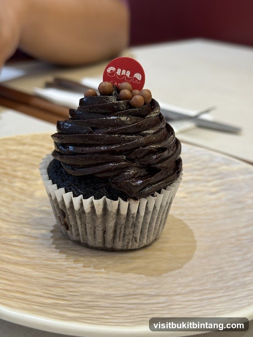 Chocolate Cupcake