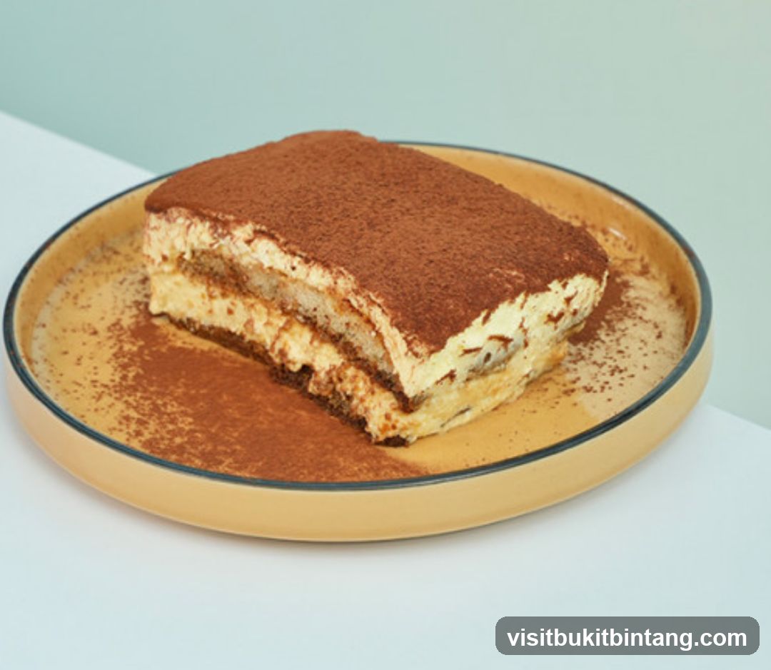 Tiramisu Slice