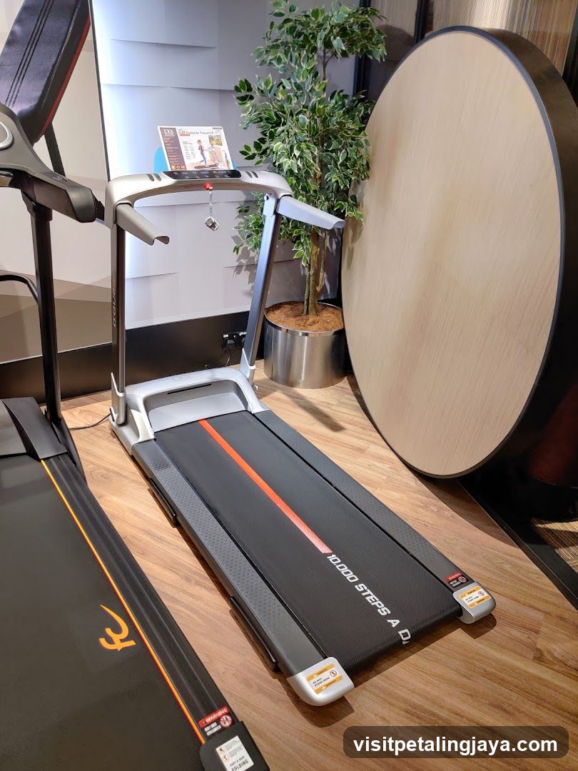 Treadmills in a gym or fitness center