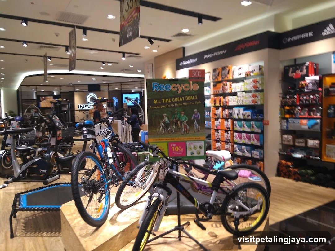 Bicycle and Sports Equipment Store Interior