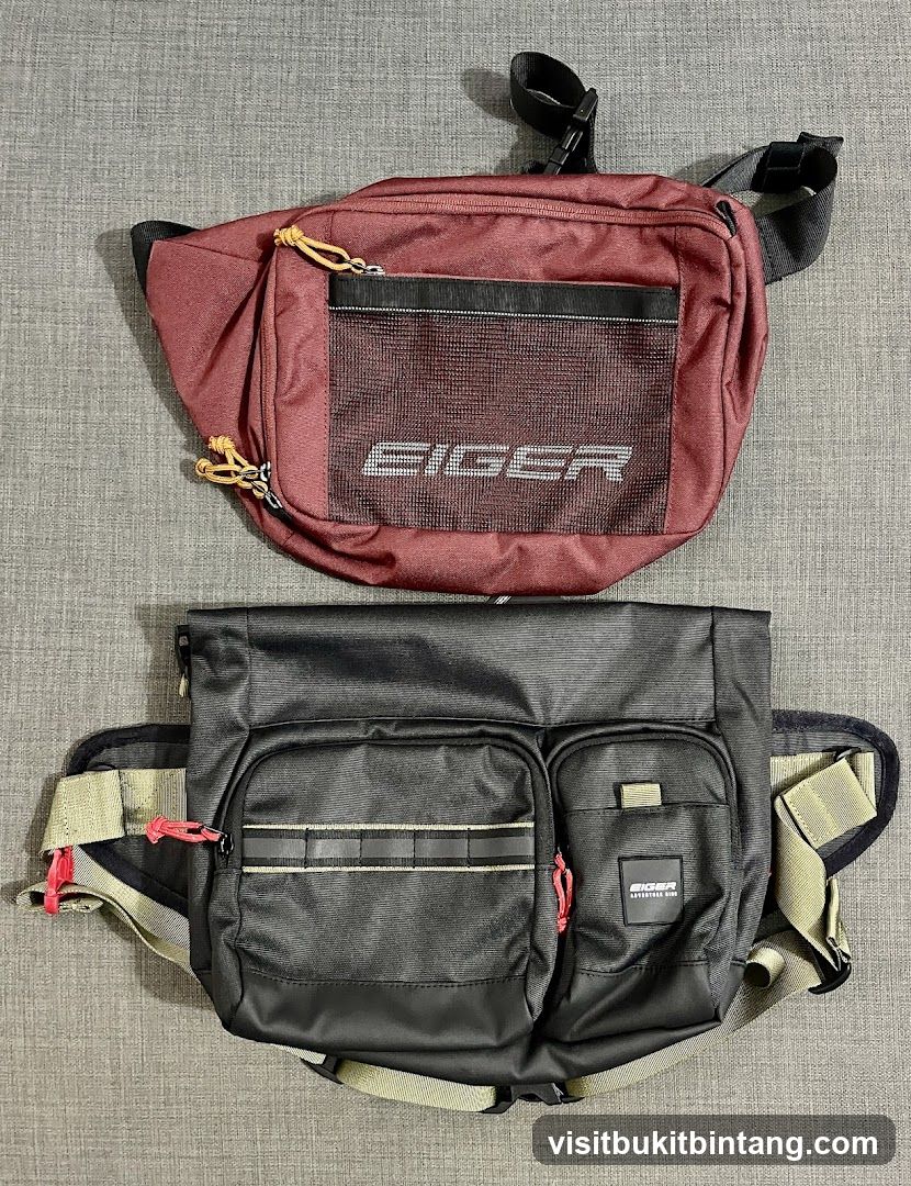 Two Eiger Bags