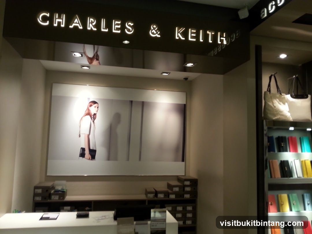 CHARLES & KEITH - The Curve