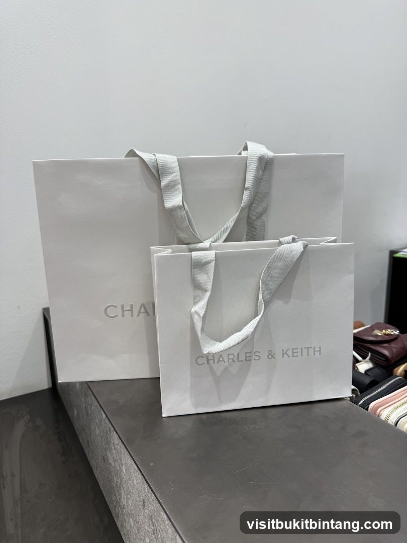 CHARLES & KEITH - The Curve