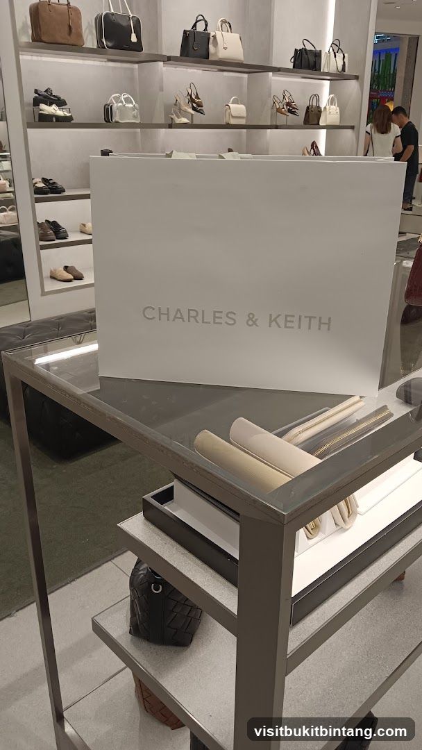 Charles & Keith Shopping Bag