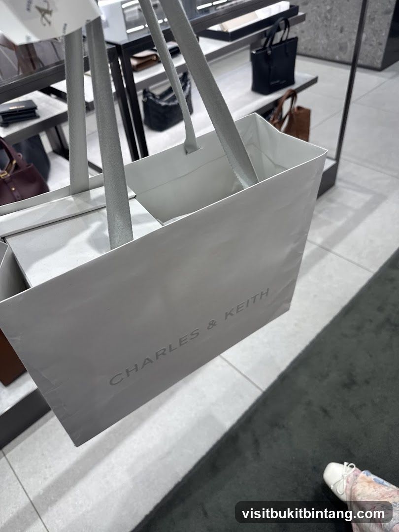 Charles & Keith Shopping Bag