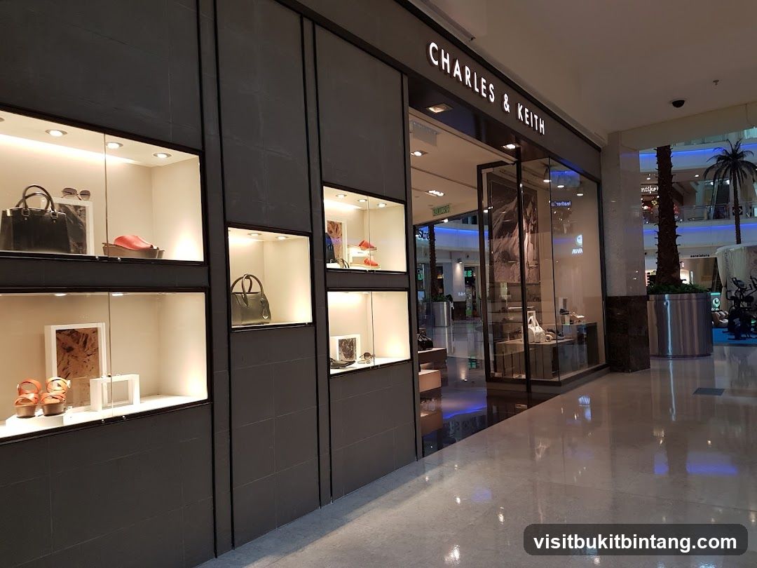 CHARLES & KEITH - The Curve