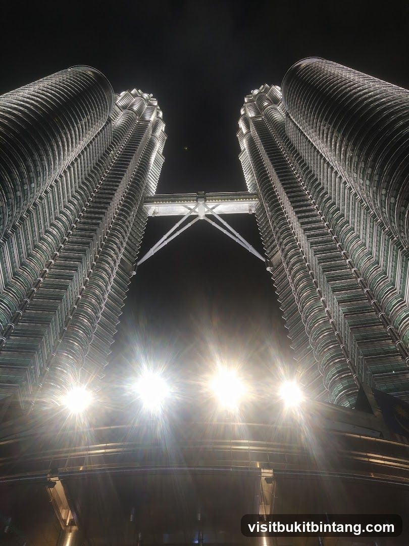 Petronas Towers at Night