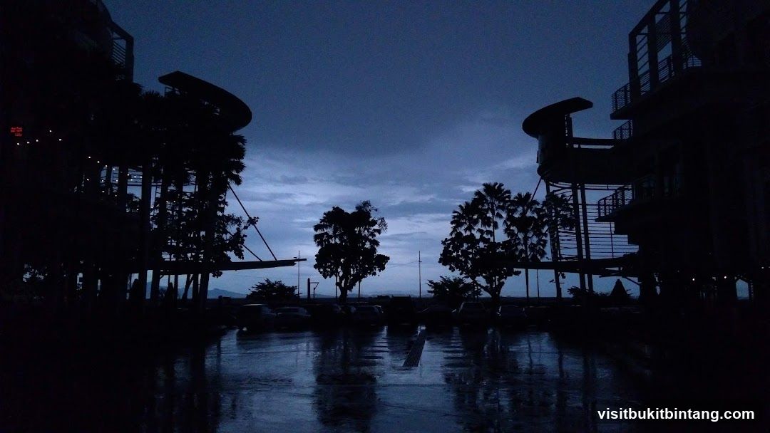 Silhouetted Buildings and Trees at Dusk