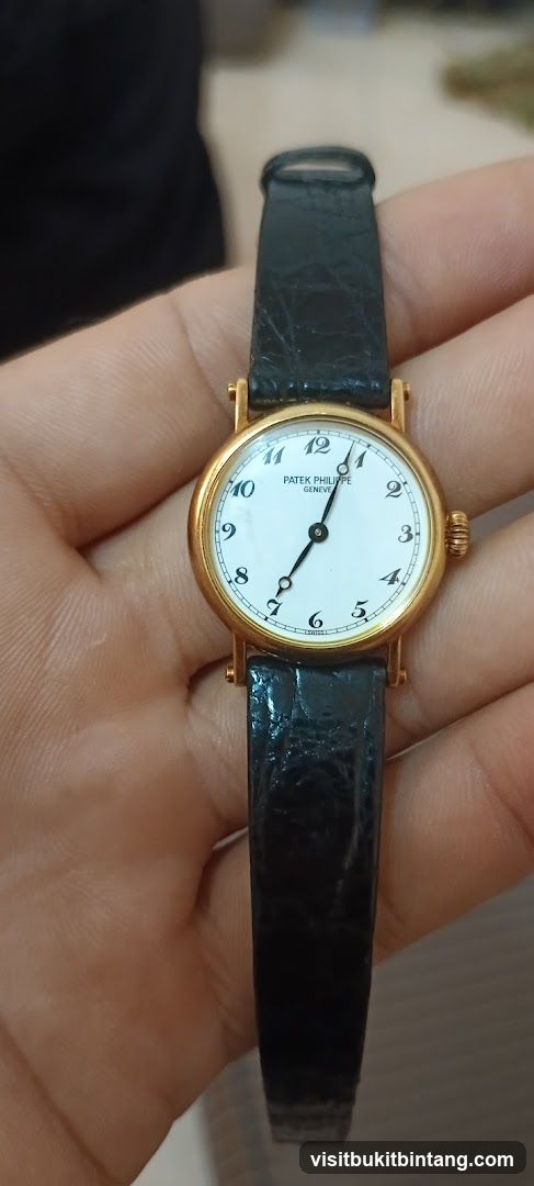 Patek Philippe Watch
