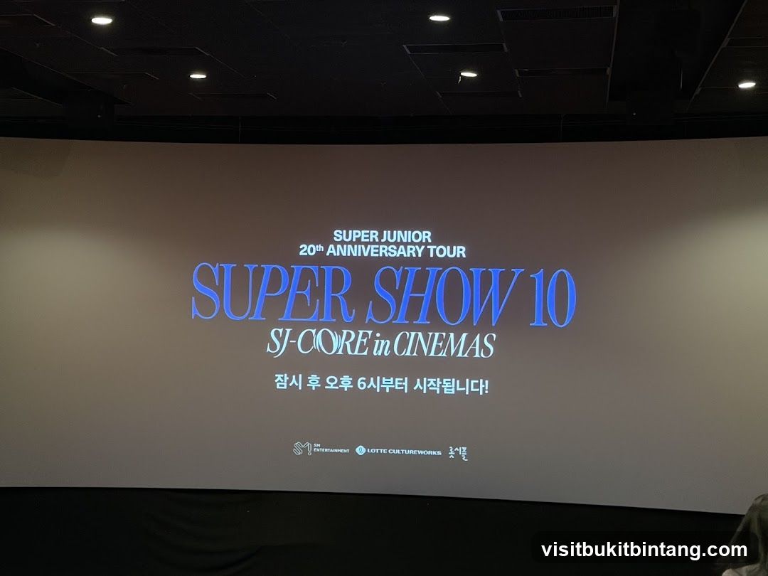 Super Junior 20th Anniversary Tour Super Show 10