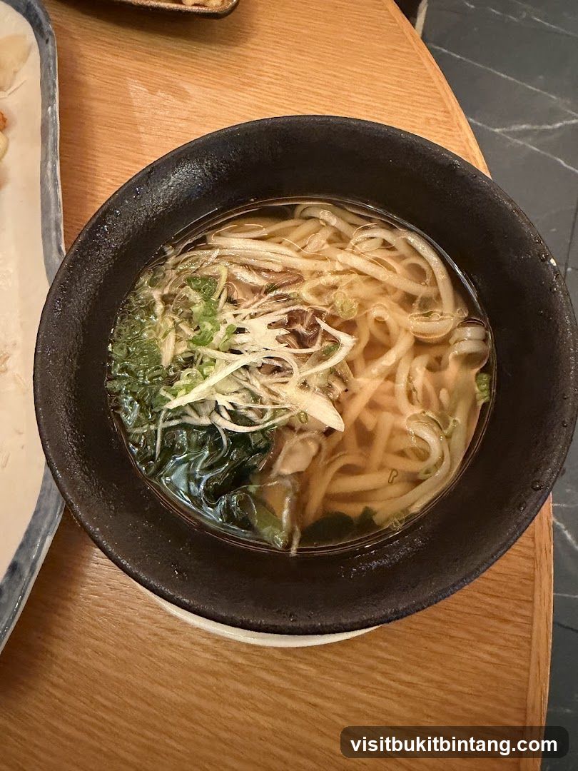 Noodle Soup