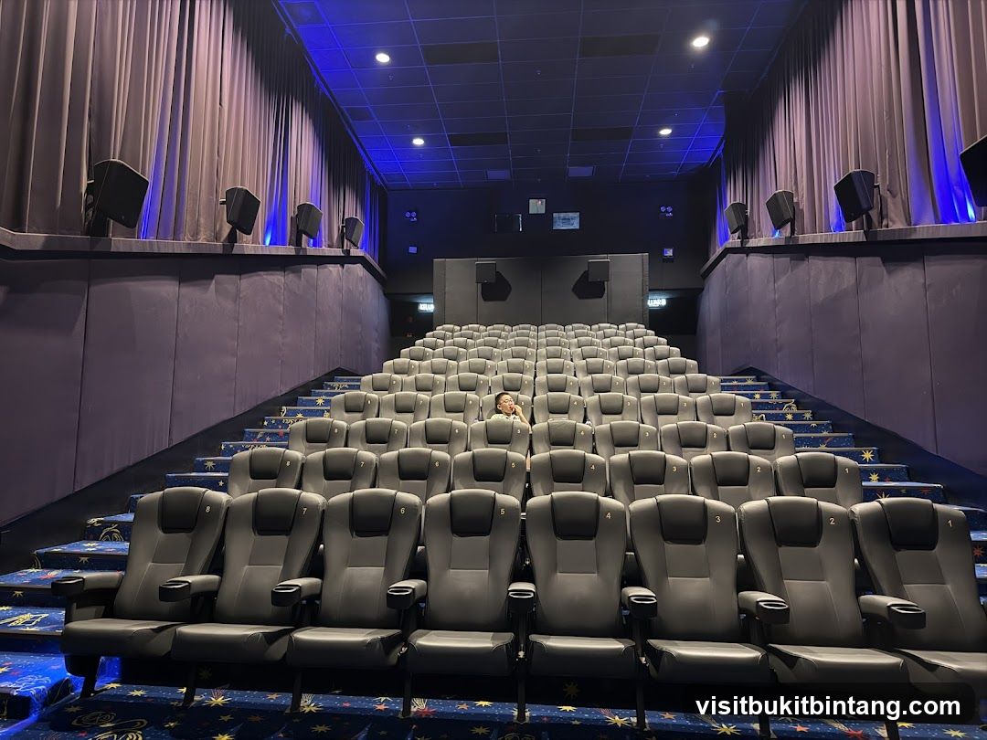 Empty Cinema Auditorium