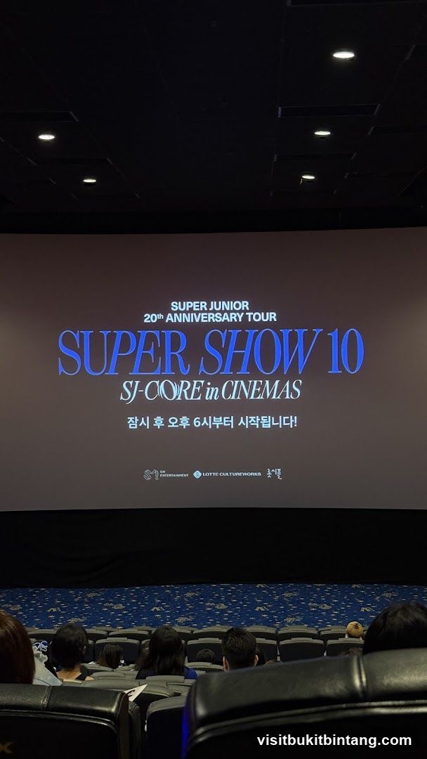 Super Junior 20th Anniversary Tour Super Show 10