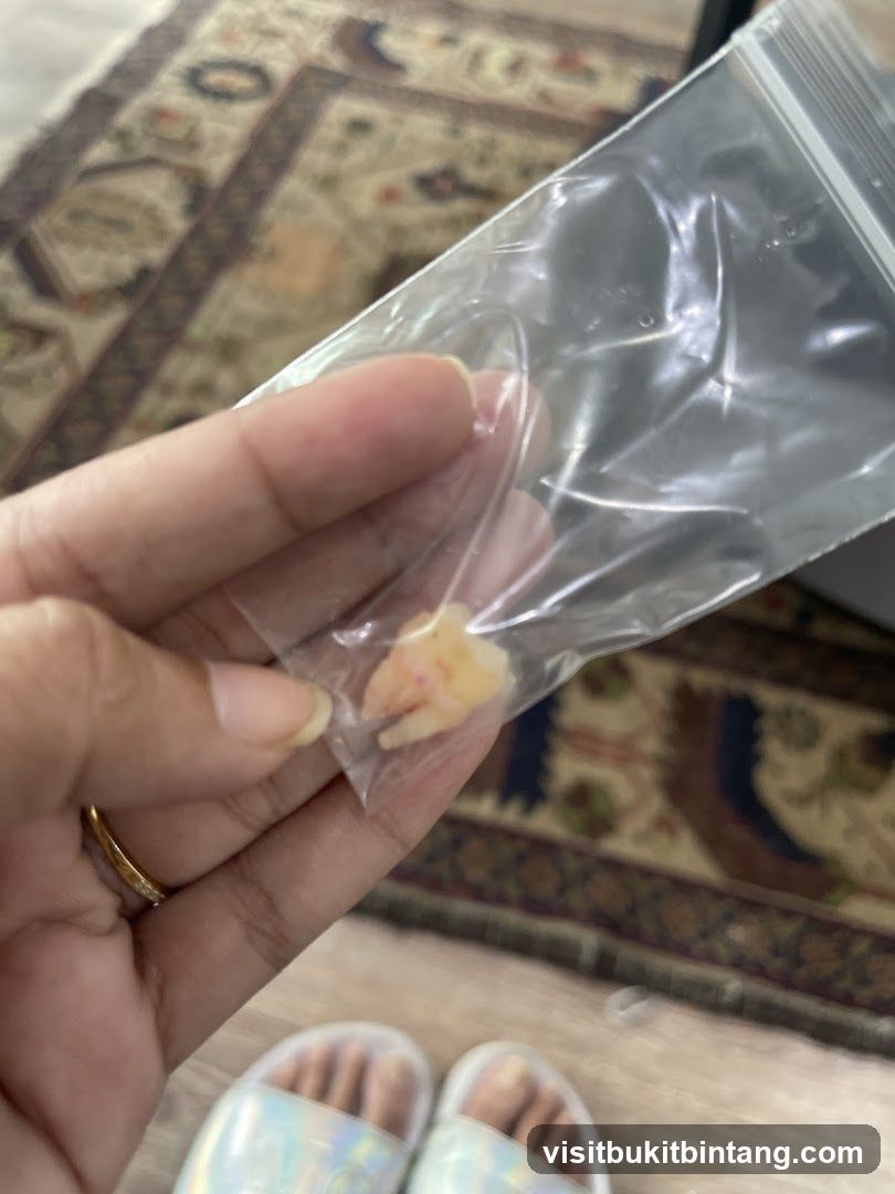 Tooth in a Bag