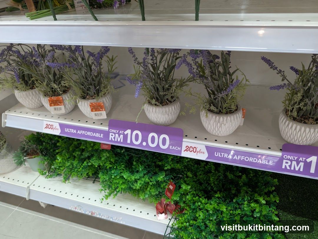Eco-Plus • NU Sentral