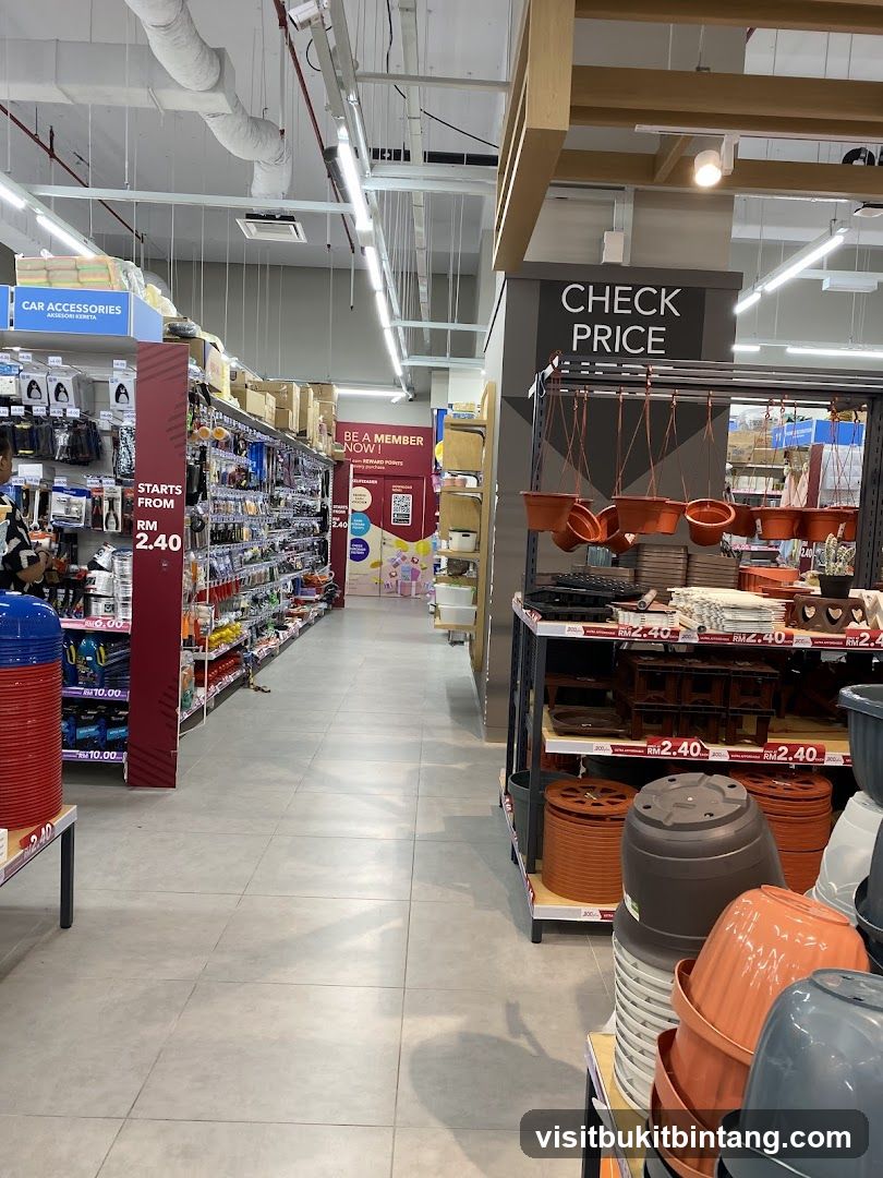 Home Improvement Store Aisle