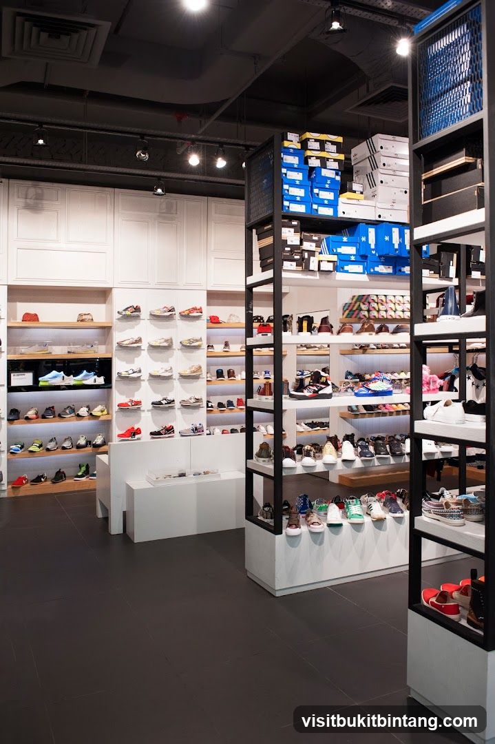 Shoe Store Interior