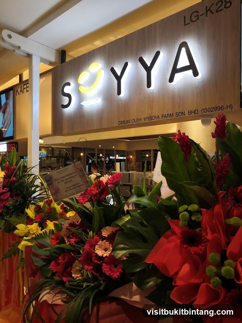 SOYYA Store Opening Decorations