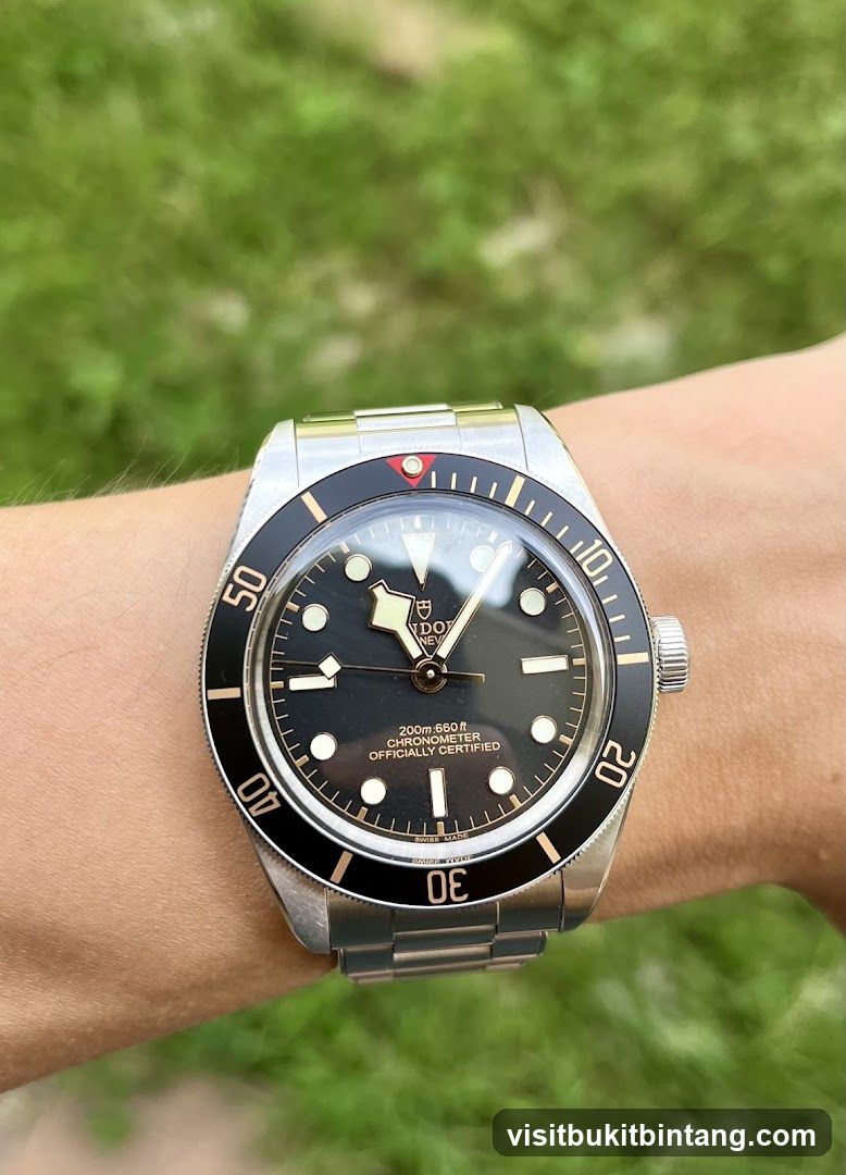 Tudor Black Bay Watch