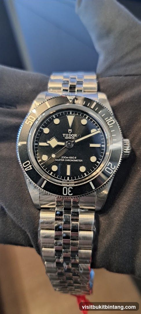 Tudor Watch