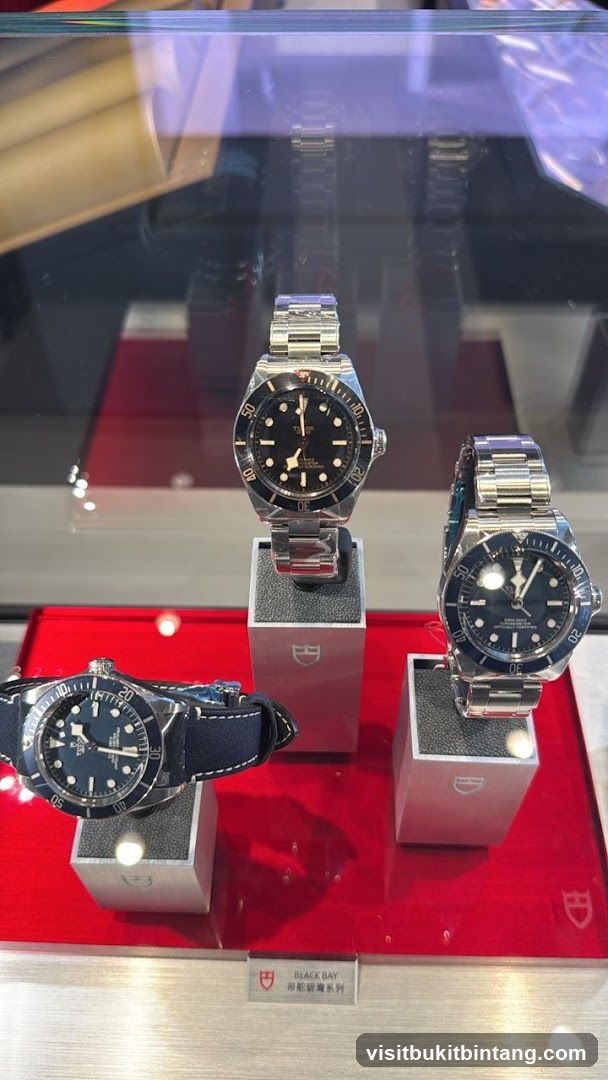 Tudor Black Bay Watches