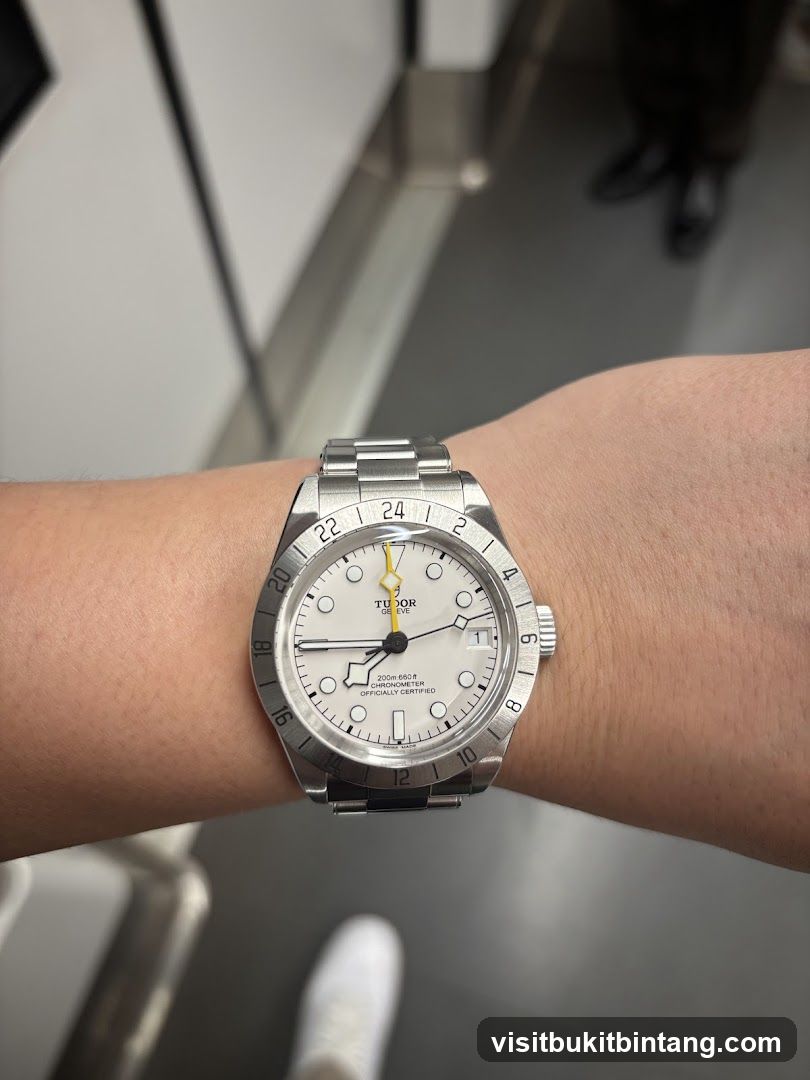 Tudor Watch on Wrist