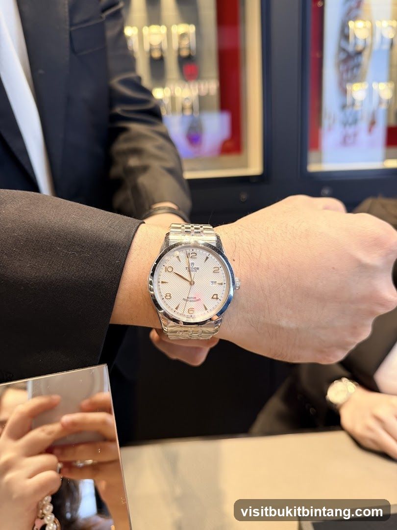 Tudor Watch Display