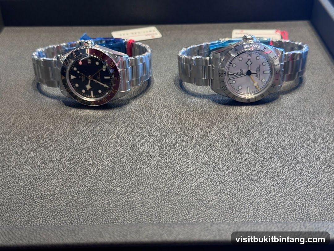 Two Tudor Watches