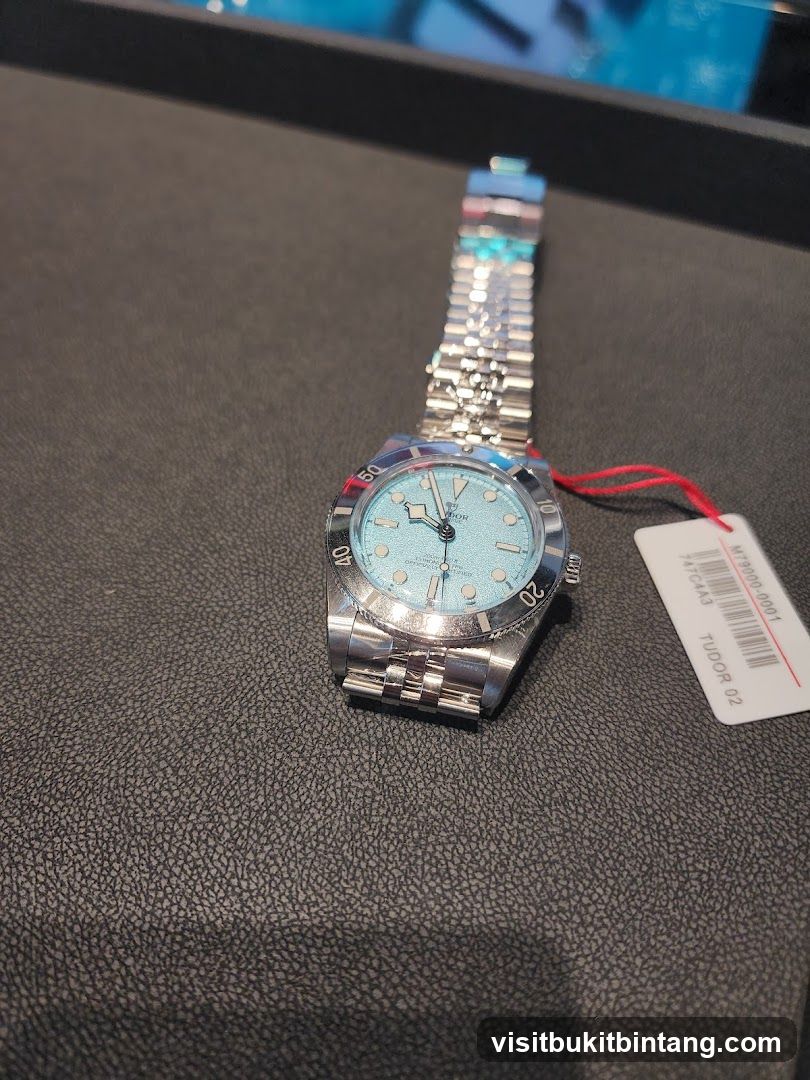 Tudor Watch