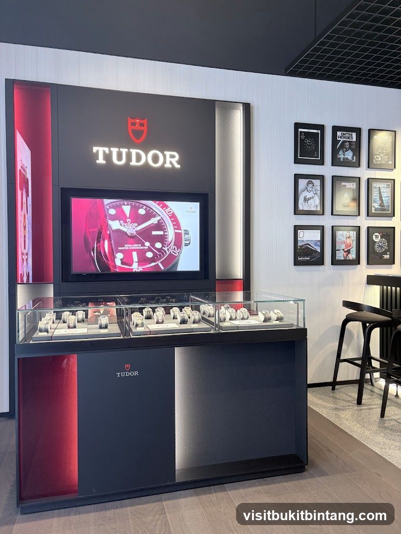 Tudor Watch Display
