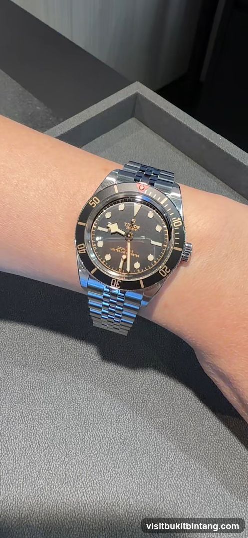 Tudor Watch on Wrist
