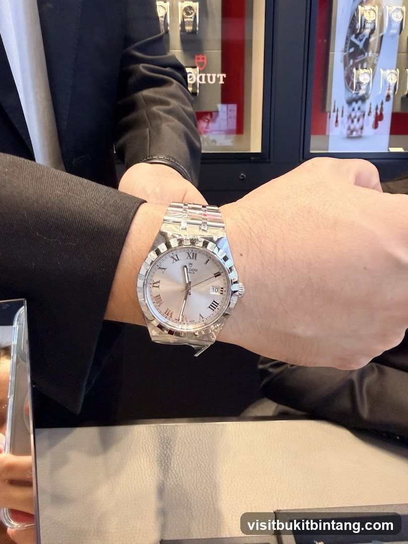 Tudor Watch Display
