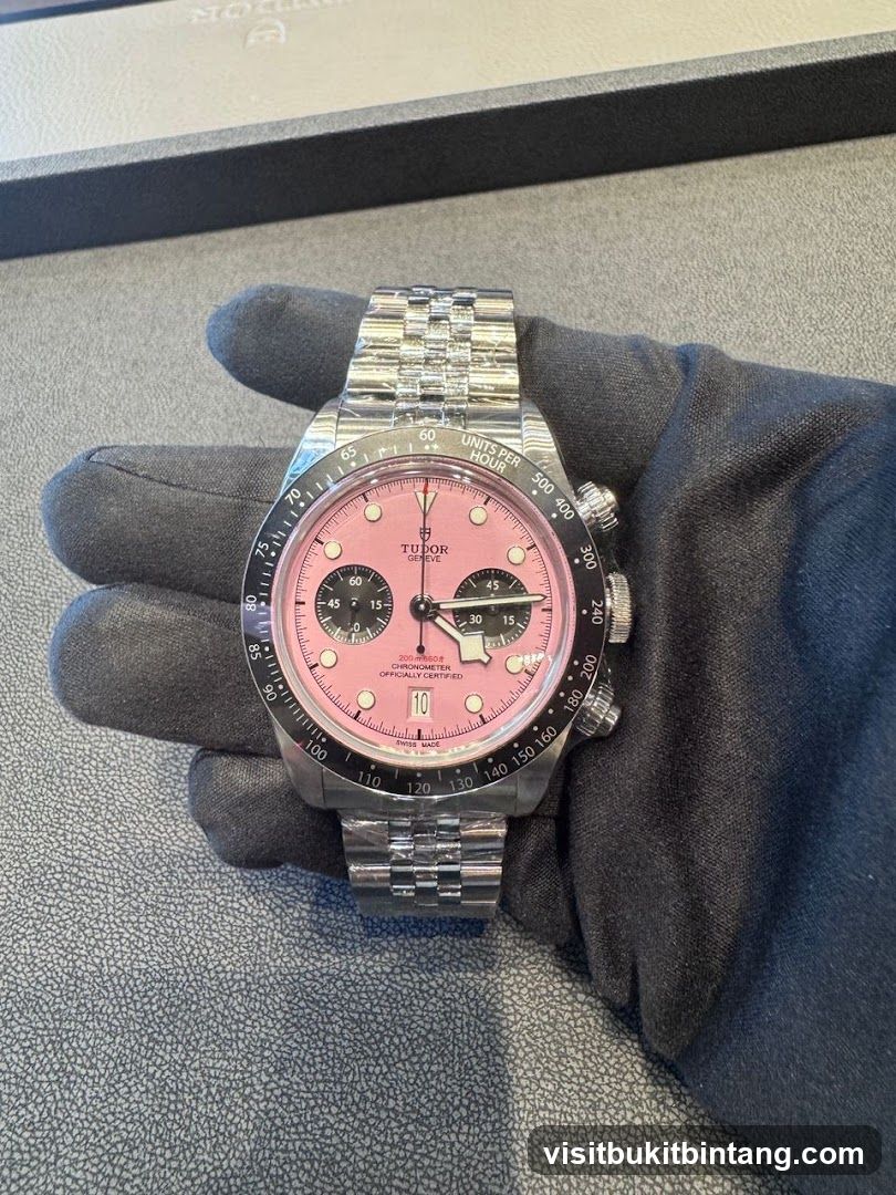 Tudor Watch