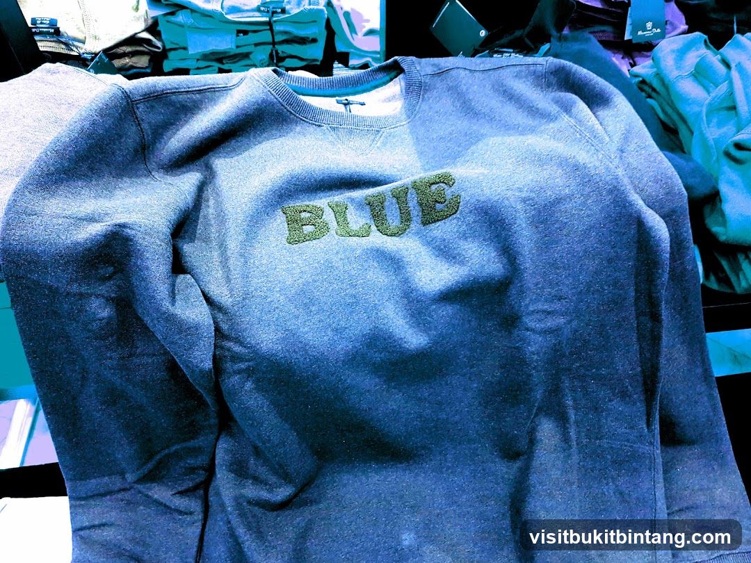 Blue Sweatshirt