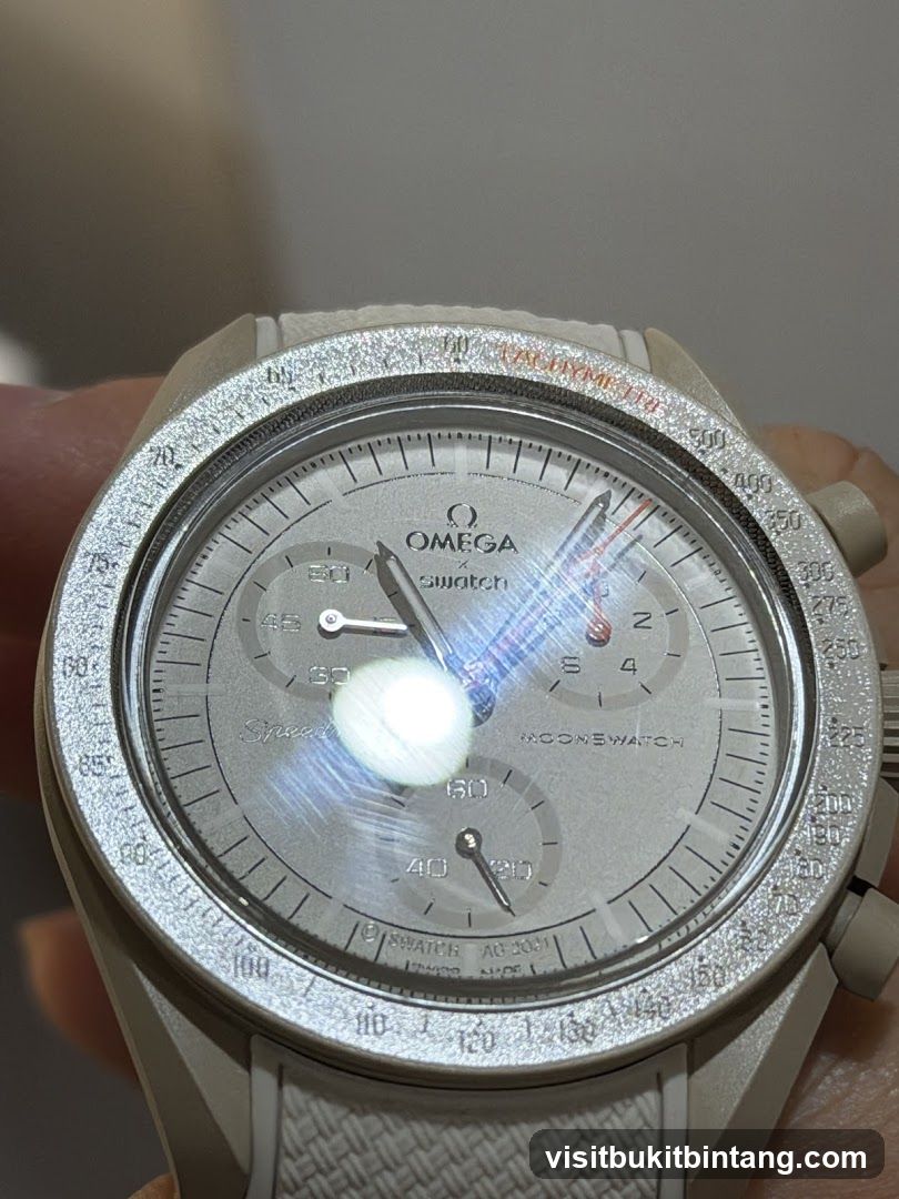 Omega x Swatch MoonSwatch Watch