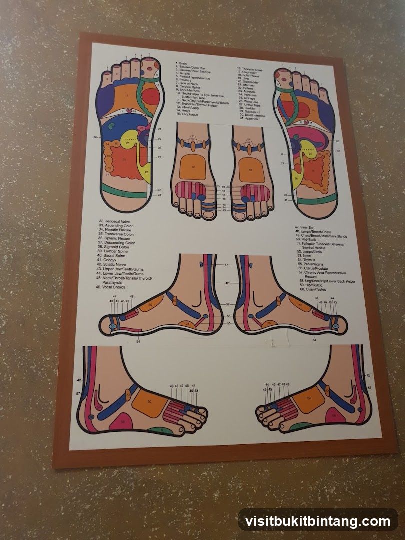 Foot Reflexology Chart
