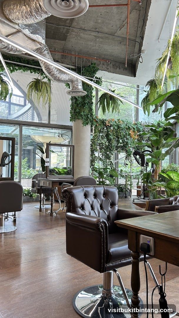 Hair Salon Interior