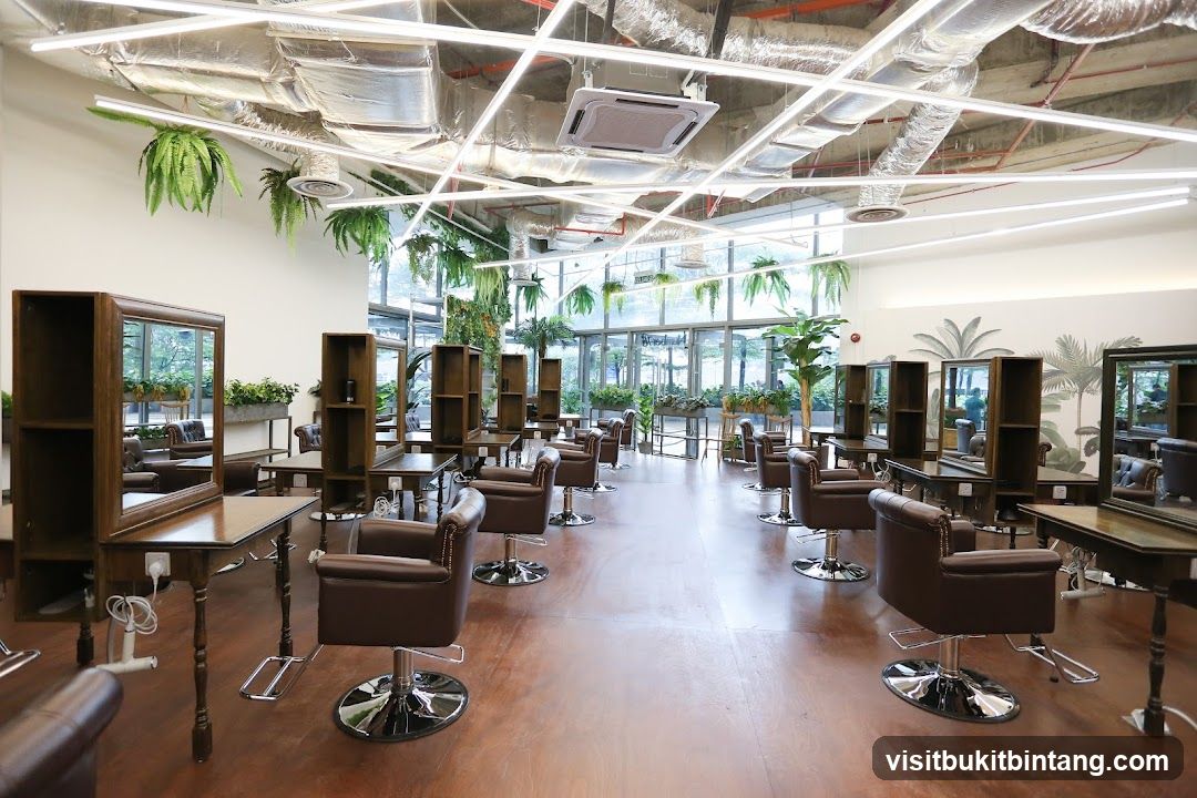 Hair Salon Interior